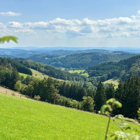 Ferienwohnung Up Willingen-Schwalefeld Willingen  Bagian luar foto
