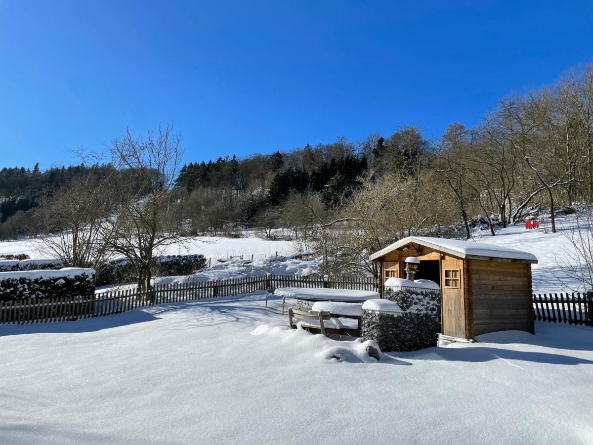 Ferienwohnung Up Willingen-Schwalefeld Willingen  Bagian luar foto