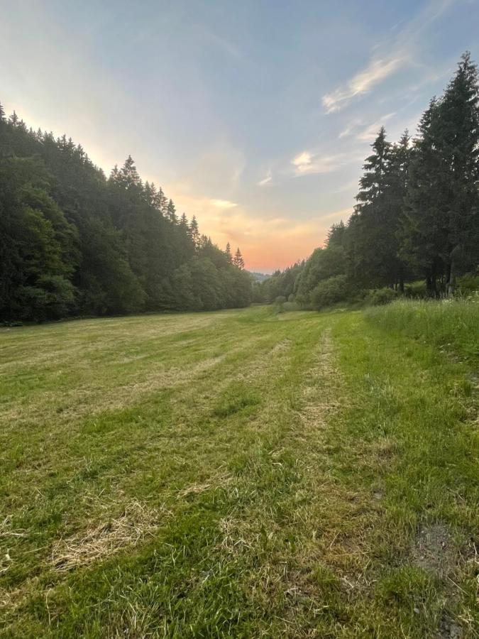 Ferienwohnung Up Willingen-Schwalefeld Willingen  Bagian luar foto
