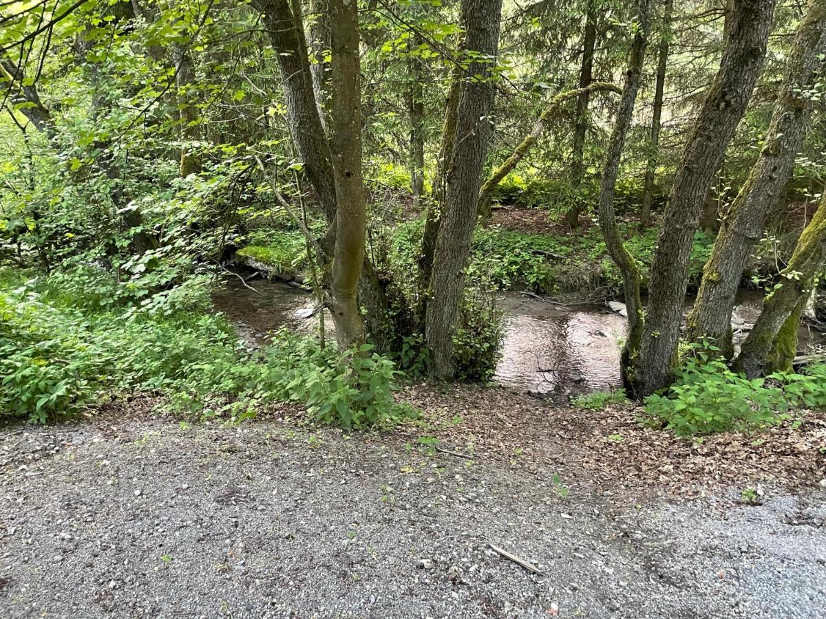 Ferienwohnung Up Willingen-Schwalefeld Willingen  Bagian luar foto