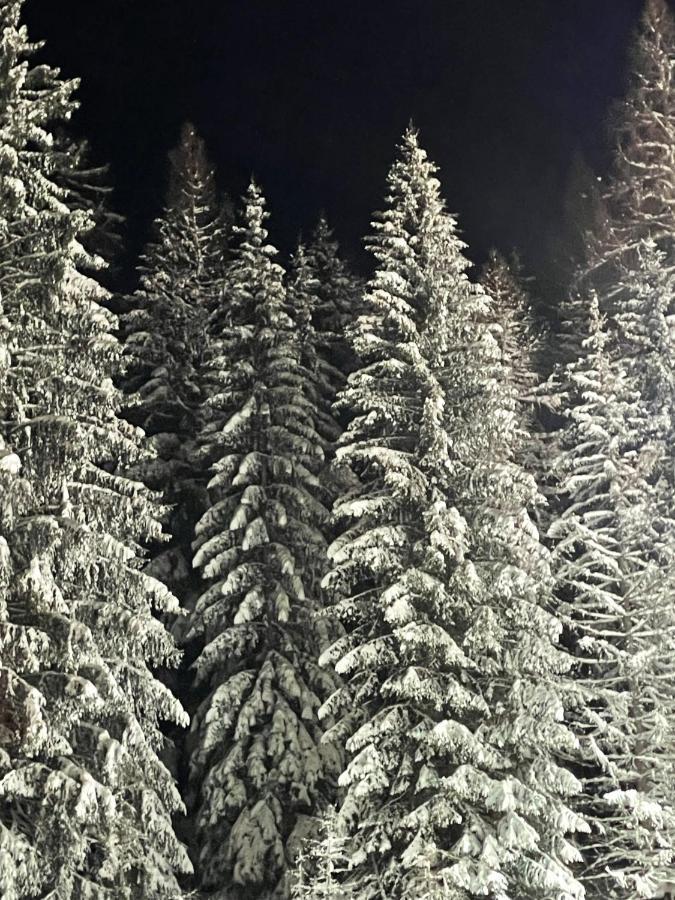 Ferienwohnung Up Willingen-Schwalefeld Willingen  Bagian luar foto
