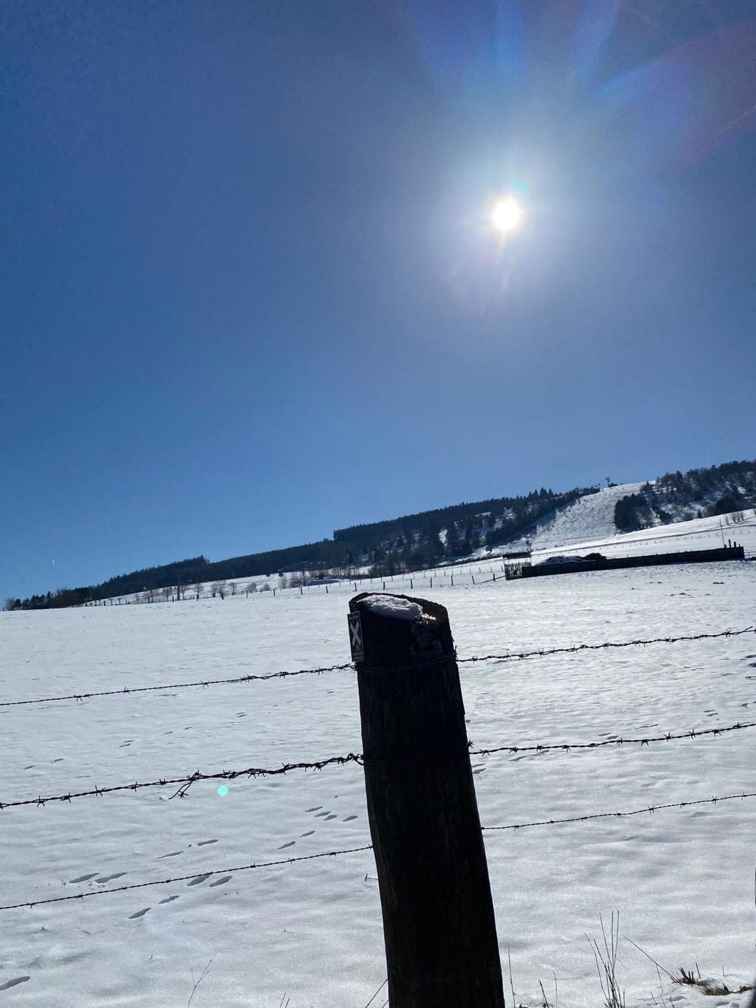 Ferienwohnung Up Willingen-Schwalefeld Willingen  Bagian luar foto