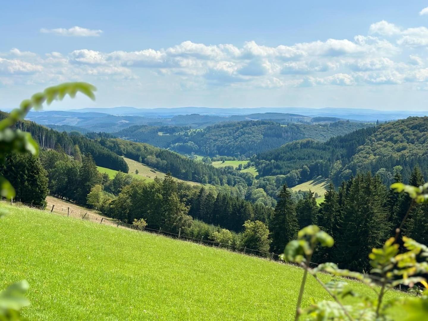 Ferienwohnung Up Willingen-Schwalefeld Willingen  Bagian luar foto